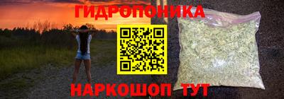 стаф Коммунар